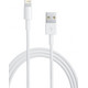 Apple Lightning USB Data en Laadkabel (100 cm)